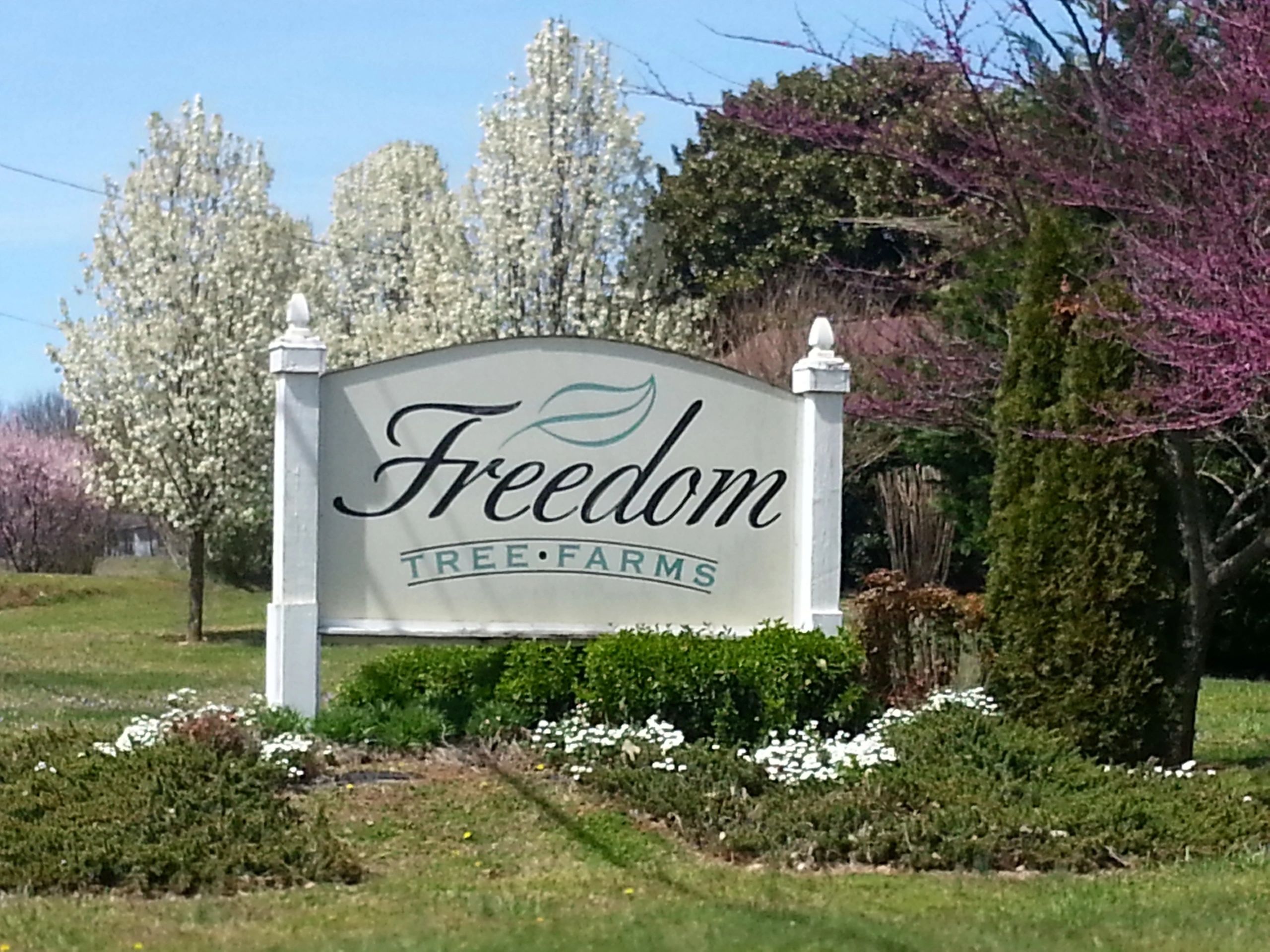 Freedom Tree Farms Wholesale Tree Farm, Fruit Tree Nursery